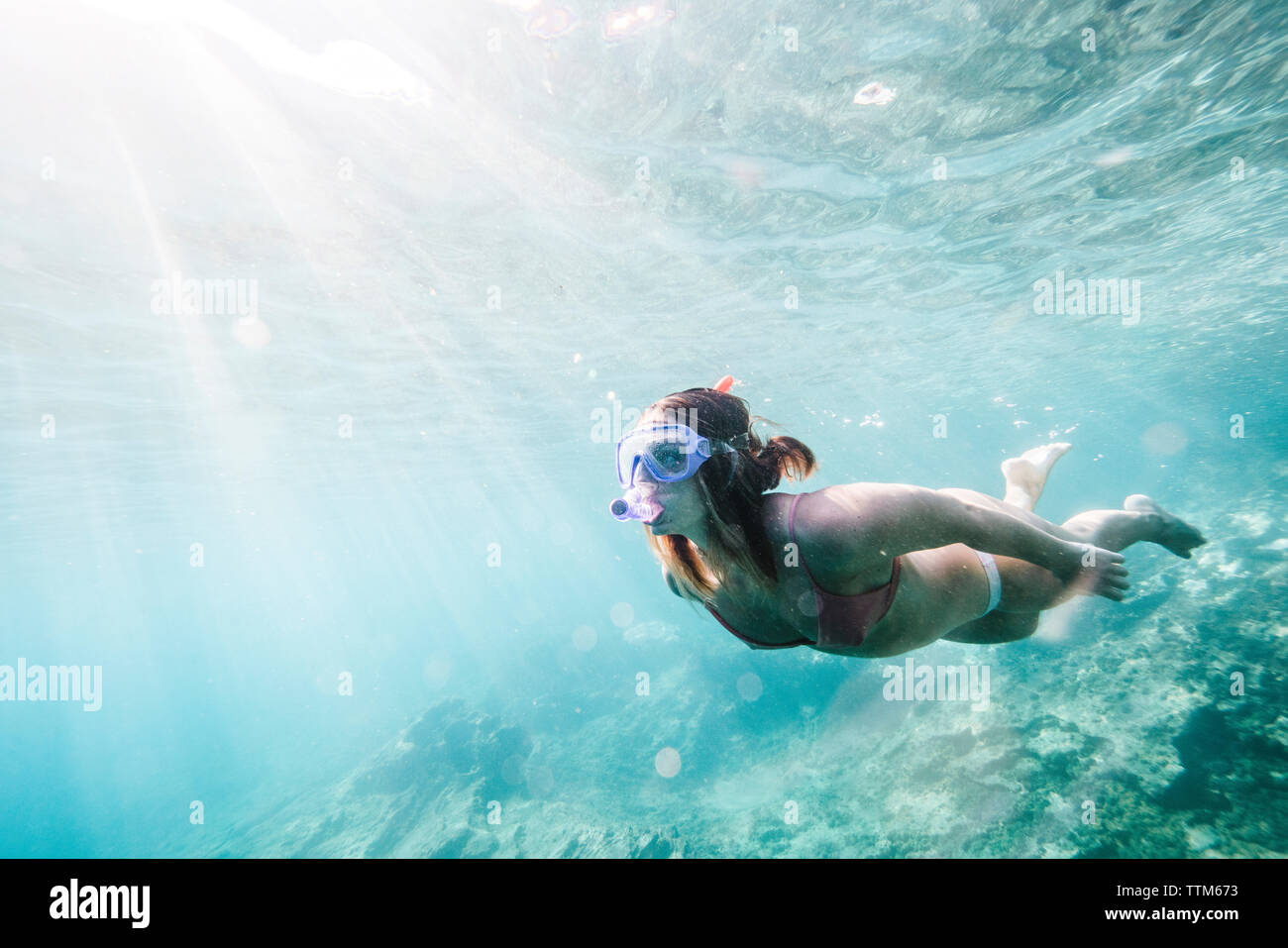 Woman scuba diving hi-res stock photography and images - Alamy