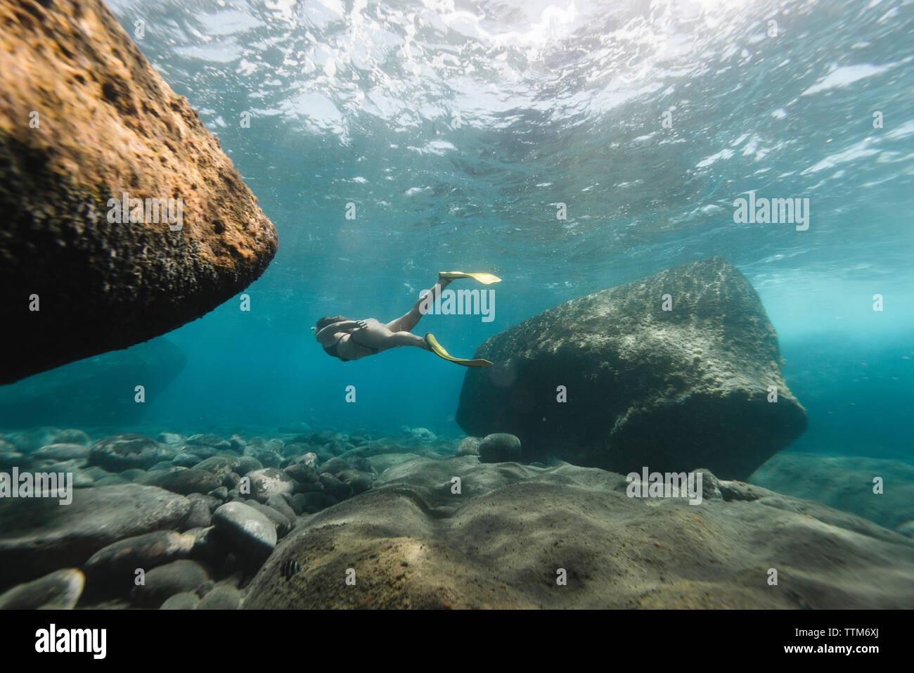 Woman diving into water hi-res stock photography and images - Alamy