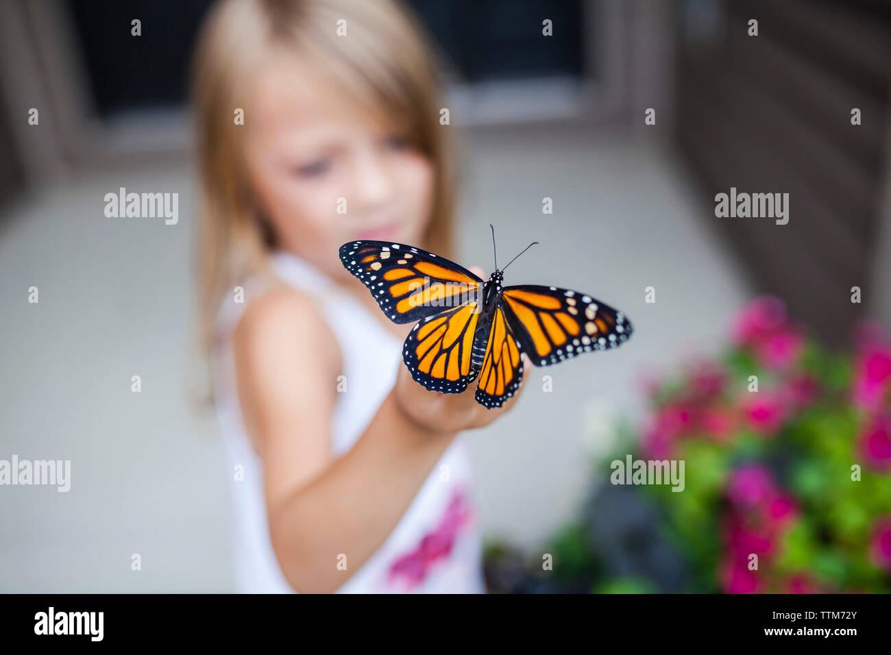 Girl holding butterfly hires stock photography and images Alamy