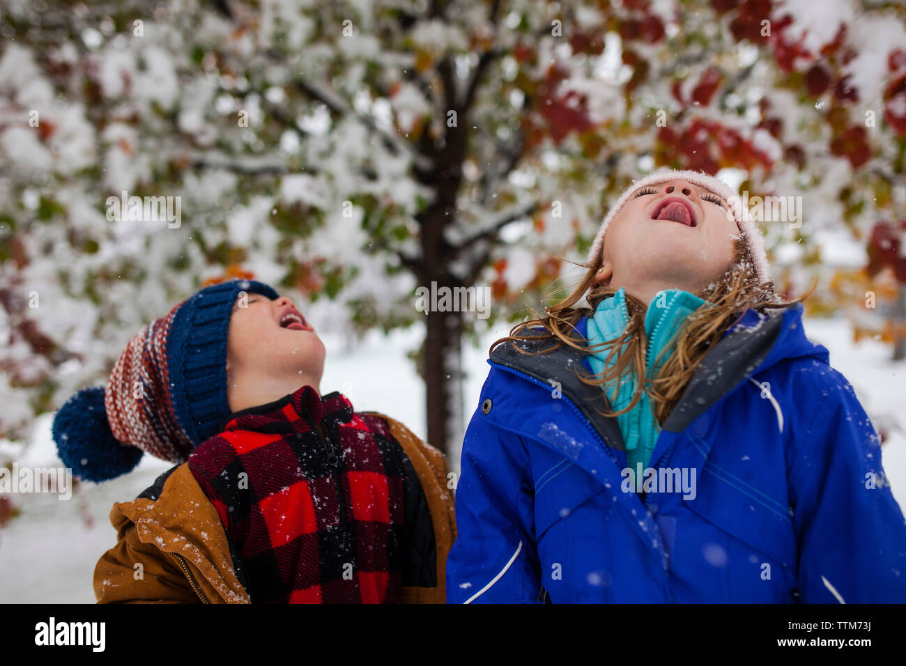 Playful siblings sticking out tongue while standing outdoors during winter Stock Photo
