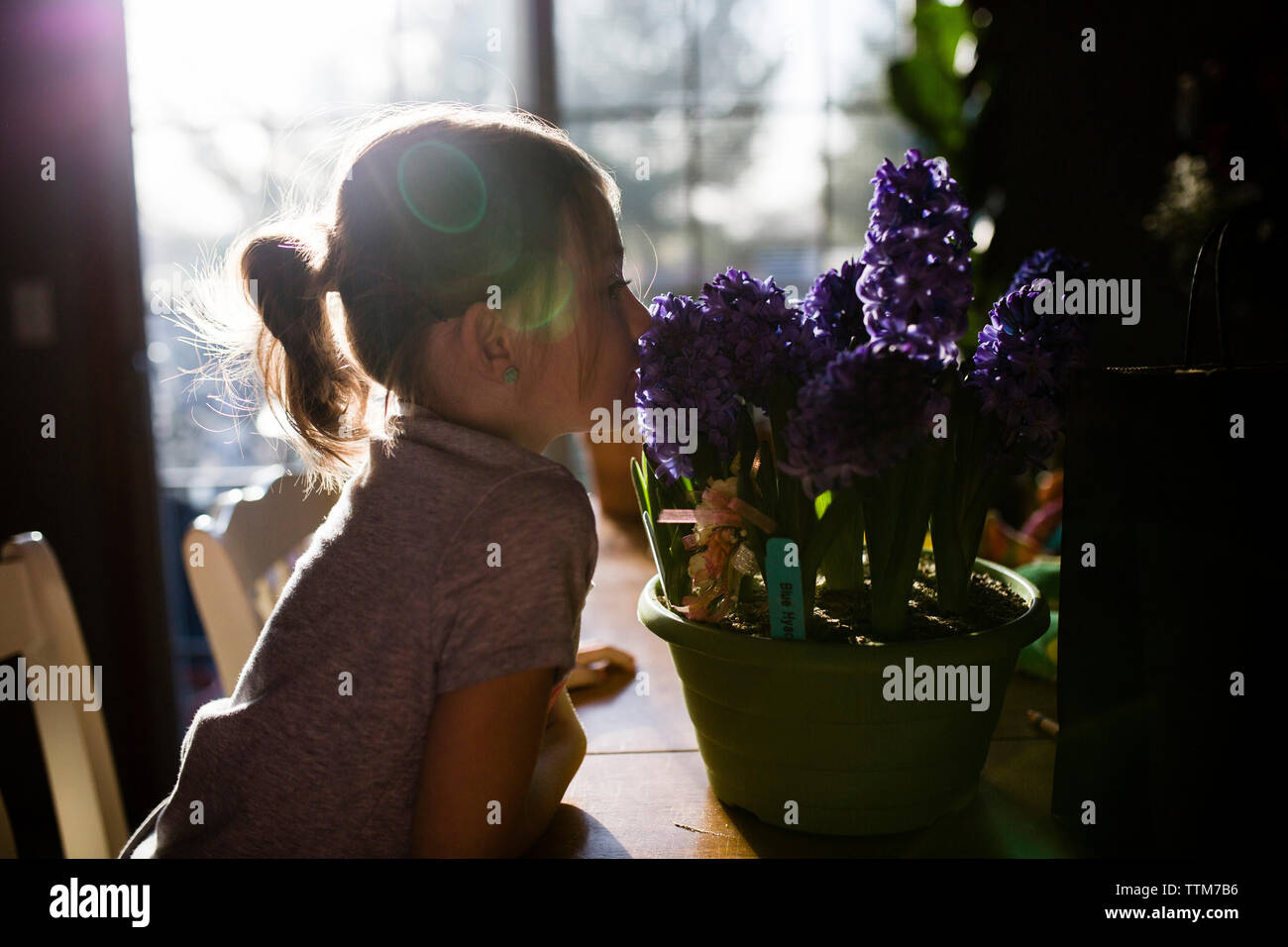 Side view of girl smelling flowers on table at home Stock Photo - Alamy