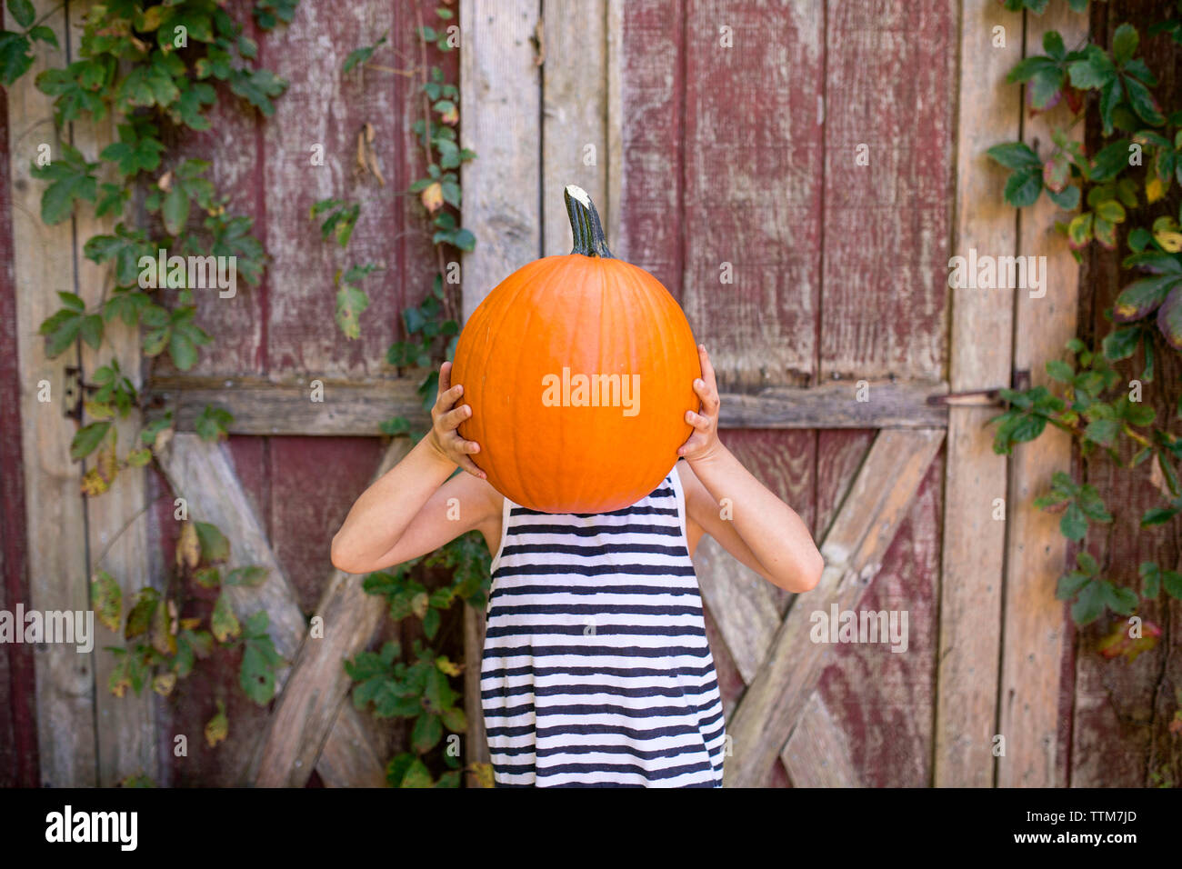 Playful girl holding pumpkin against face while standing against wooden wall at yard Stock Photo