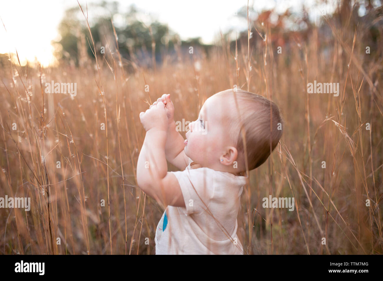 Side view of baby girl standing amidst dry plants Stock Photo