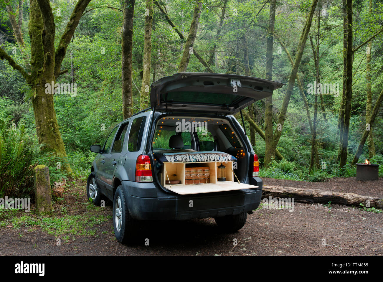 Sports utility vehicle parked at campsite in forest Stock Photo
