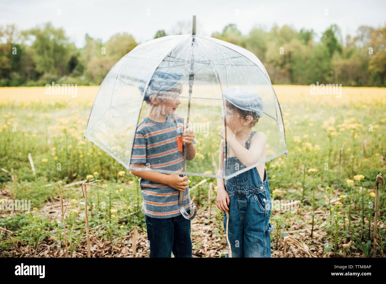 Boys talking while standing under umbrella on field Stock Photo