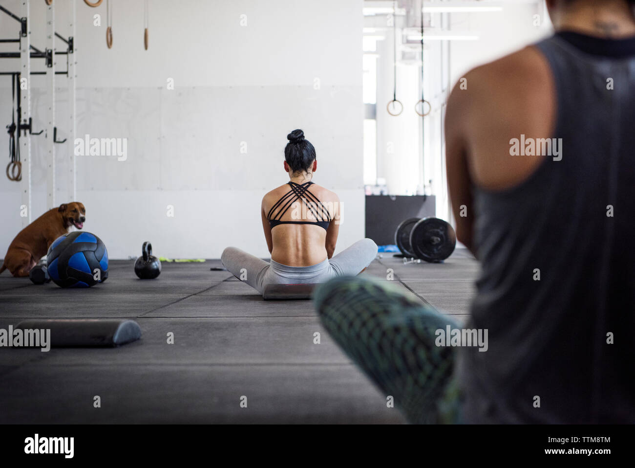 Rear view of athletes exercising while dog sitting in crossfit gym Stock Photo