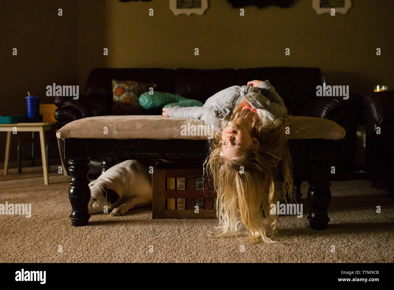 Girl lying on bed upside down at home Stock Photo Alamy