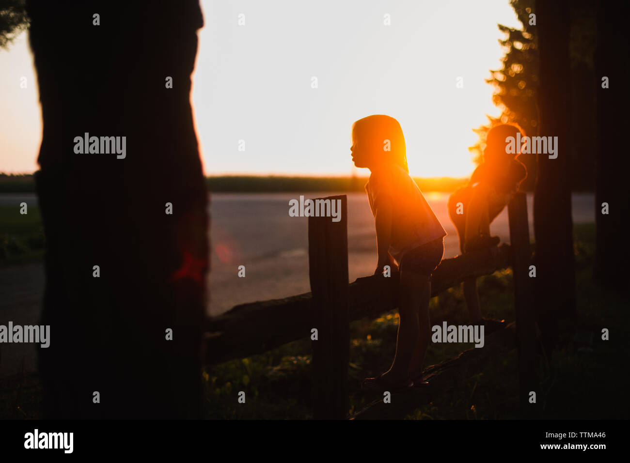 children on a fence with the setting sun Stock Photo