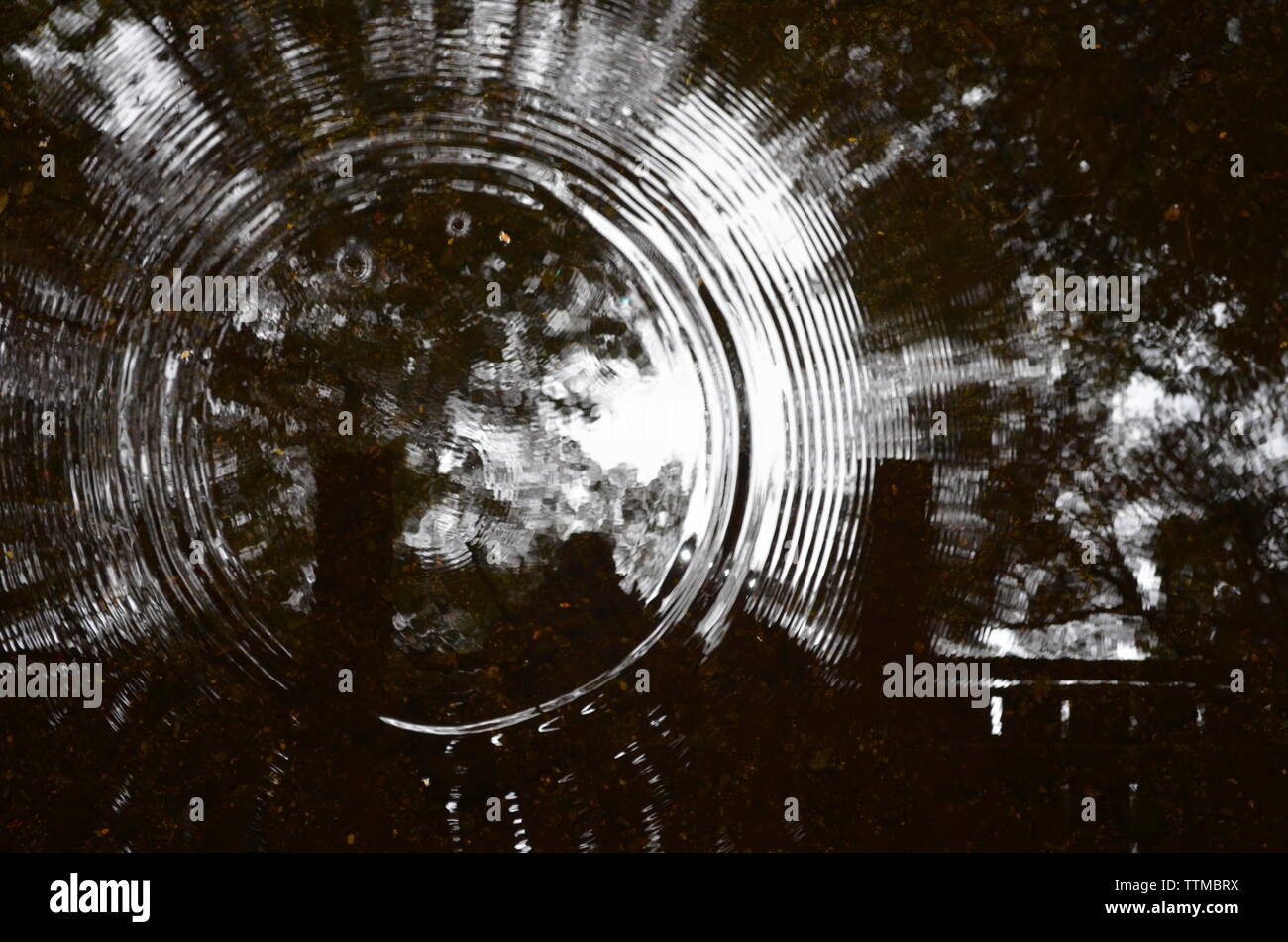A stone making ripples in the water. The circles radiate from a central ...