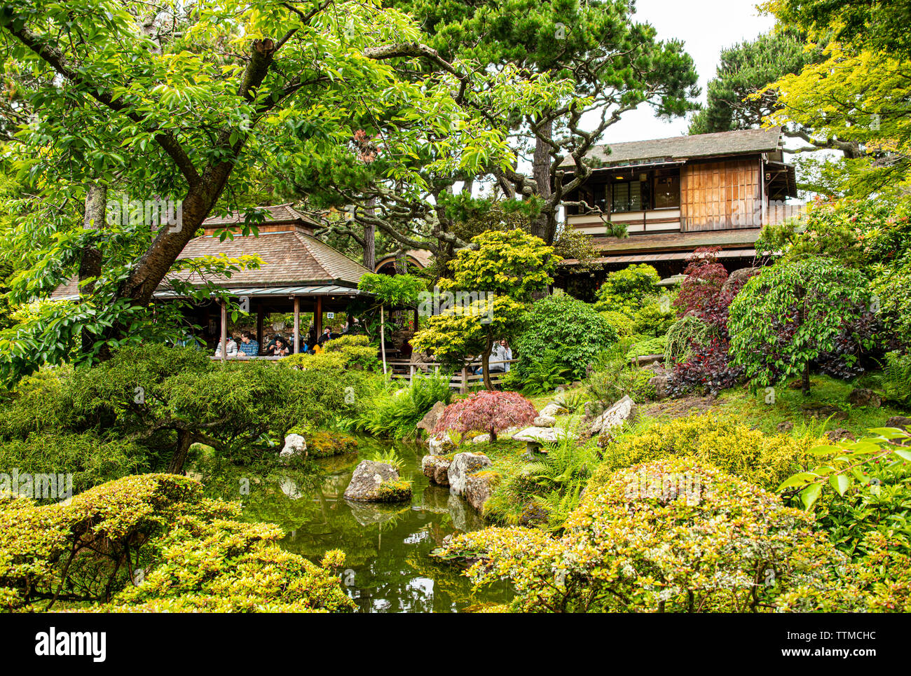 Japanese tea garden san francisco hires stock photography and images