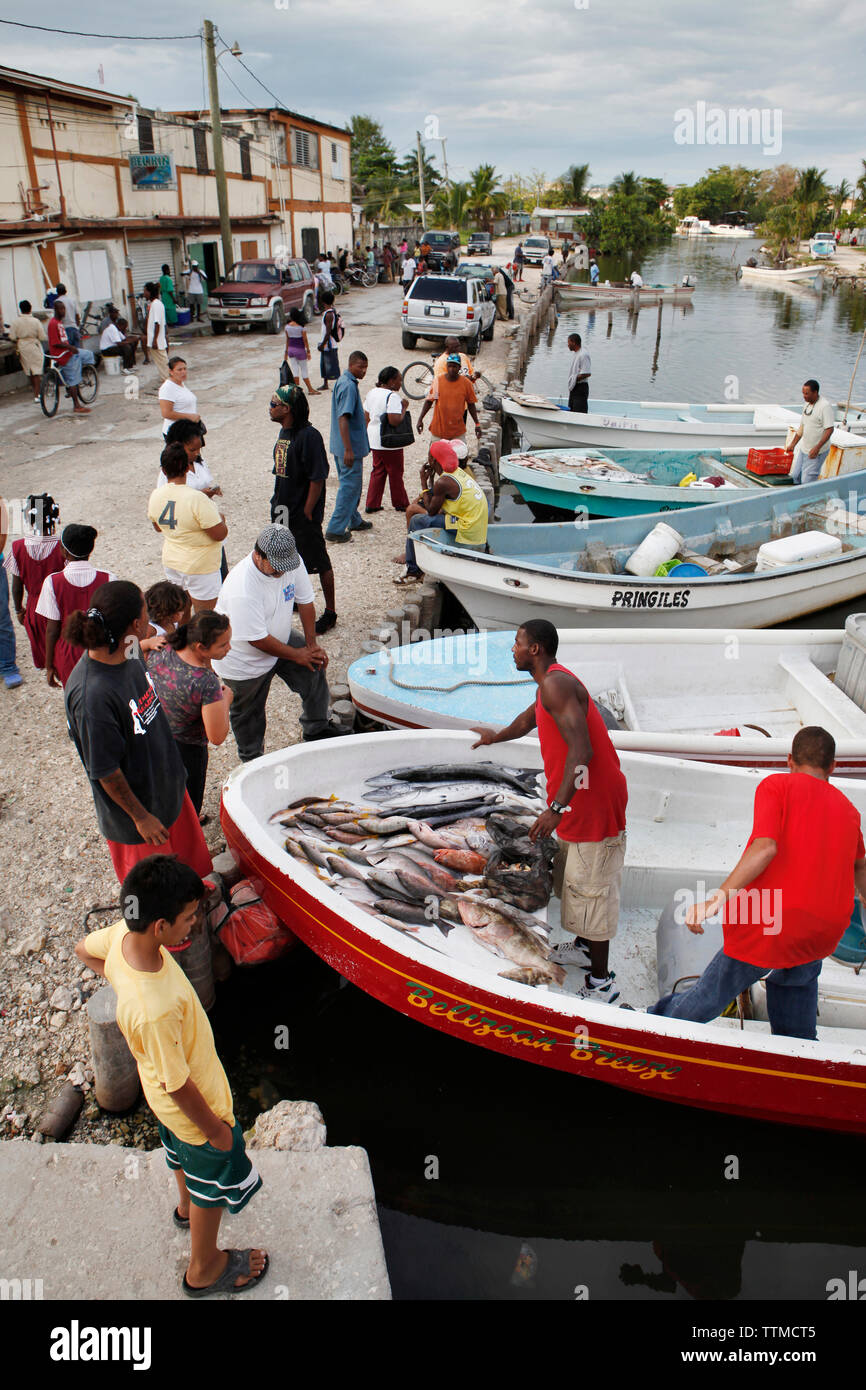 BELIZE. Belize City, fishermen sell fish at the Southside fishmarket Stock Photo