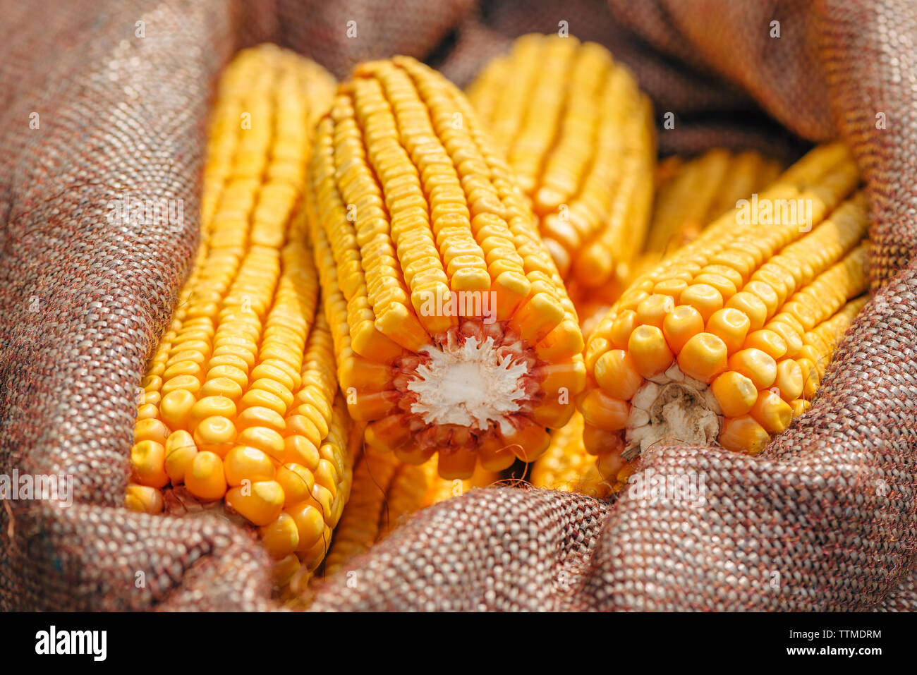 Sack of corn hires stock photography and images Alamy