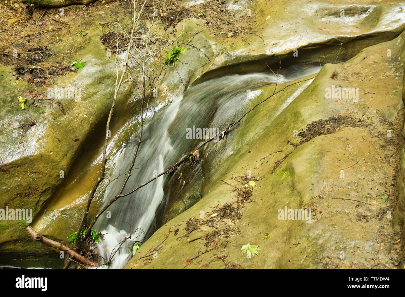 at middle ladder landing Turkey Run State Park, Indiana Stock