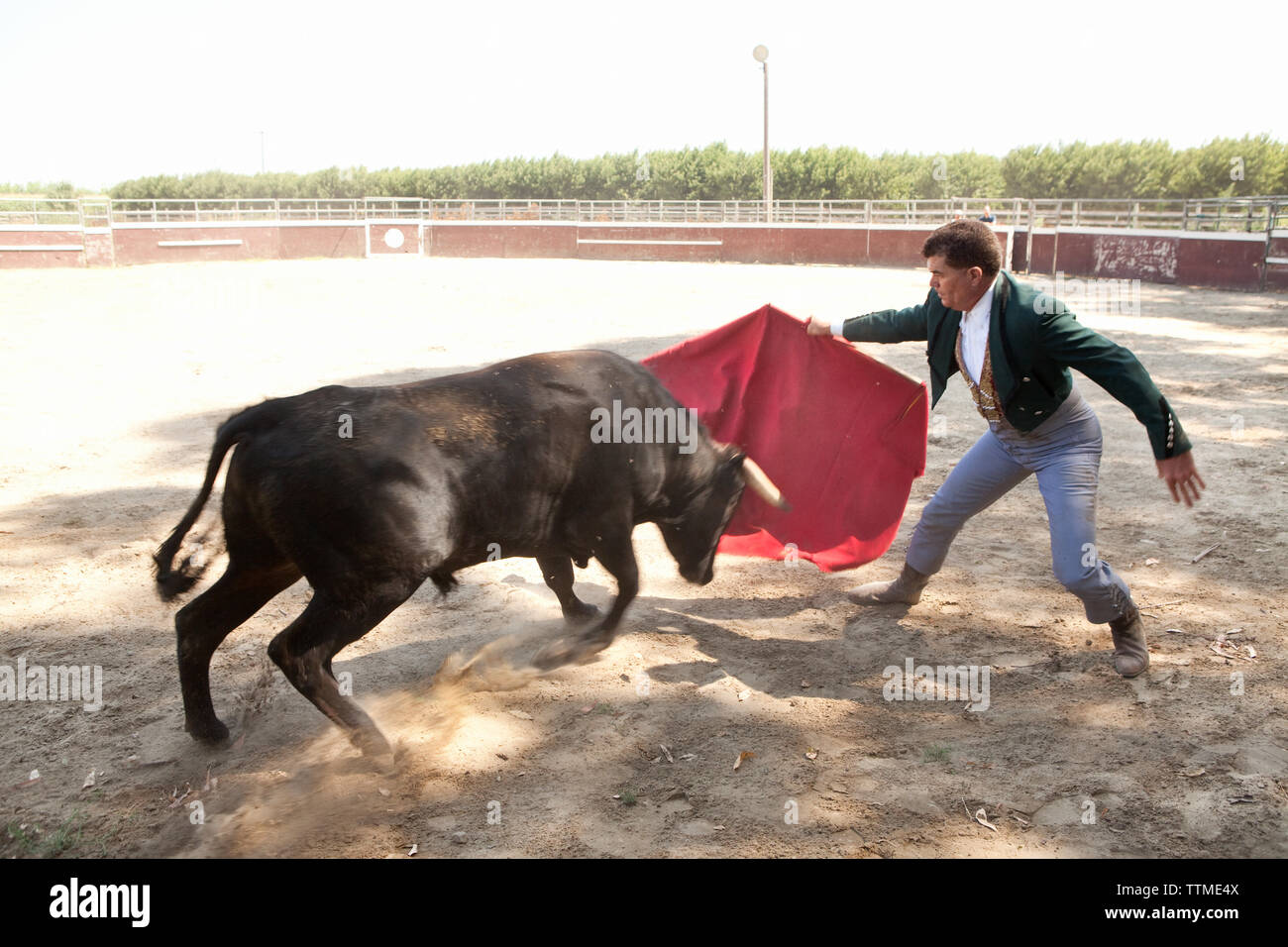 Bull goring hi-res stock photography and images - Alamy