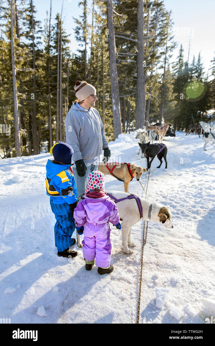 USA, Oregon, Bend, a young boy and girl play with the sled dogs at Mt