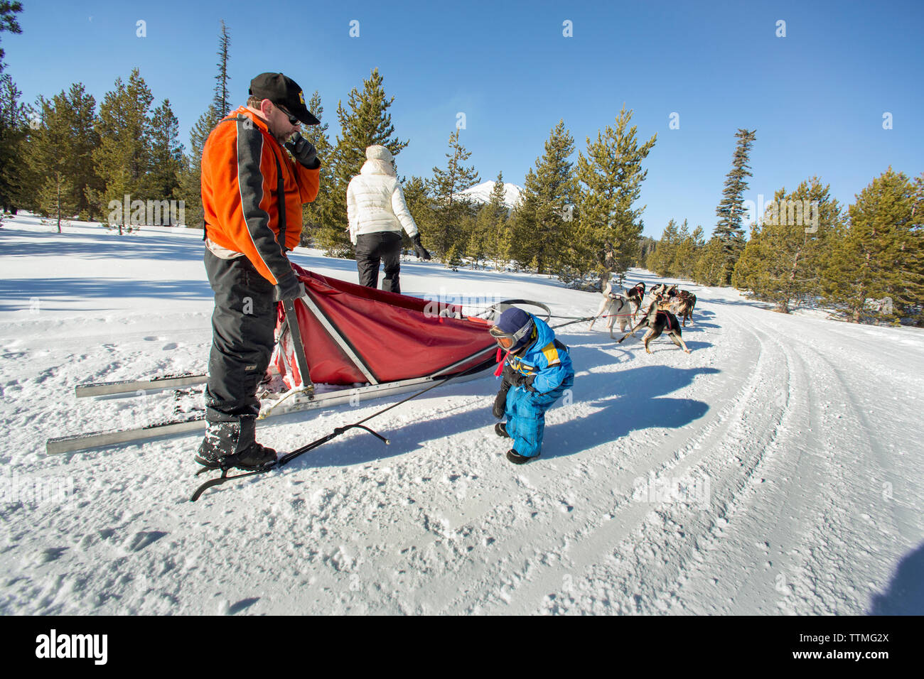 USA, Oregon, Bend, the musher showing a young boy the different parts of the dog sled Stock Photo