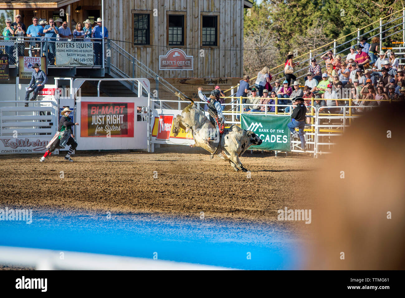 USA, Oregon, Sisters, Sisters Rodeo, cowboys ride a 2,000 pound bull