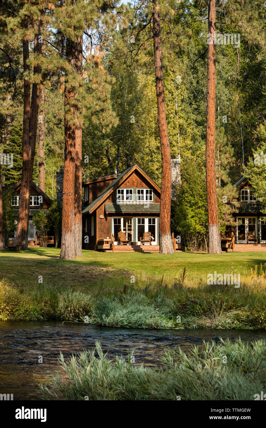 USA, Oregon, Camp Sherman, Metolius River Resort, view of cabins from river Stock Photo