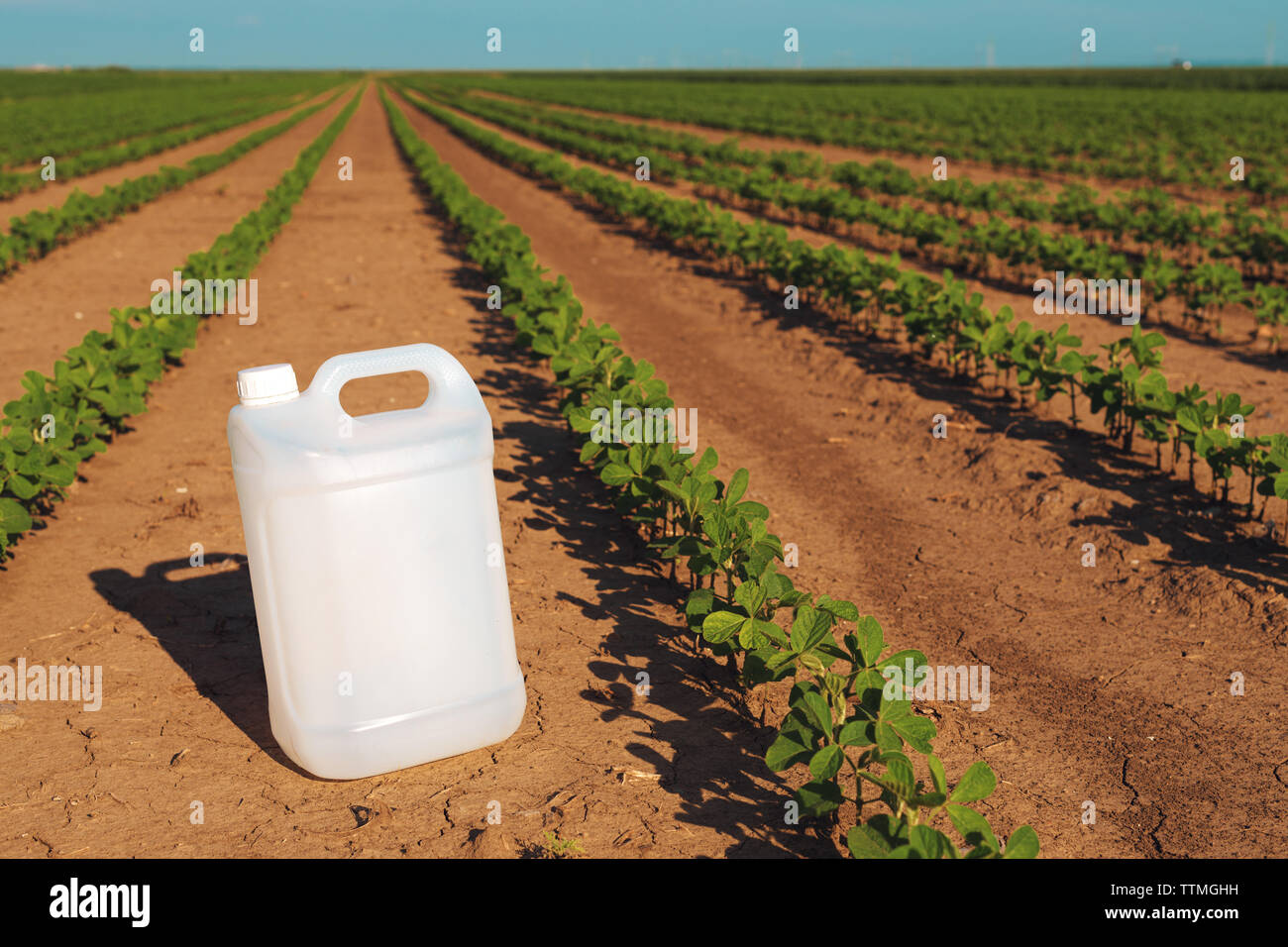 Soybean crop protection concept with blank generic pesticide canister jug in perfectly clean field without weeds Stock Photo