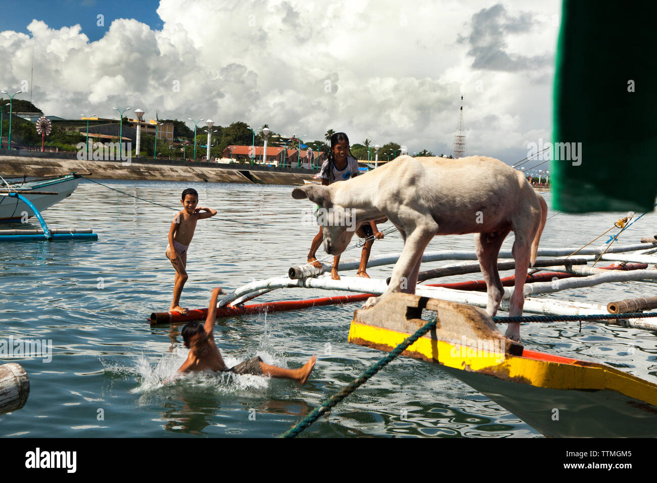 https://c8.alamy.com/comp/TTMGM5/philippines-palawan-puerto-princesa-kids-play-on-fishing-boats-in-the-city-port-area-TTMGM5.jpg