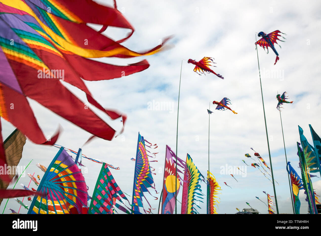 USA, Washington State, Long Beach Peninsula, stationary kites fly at the International Kite