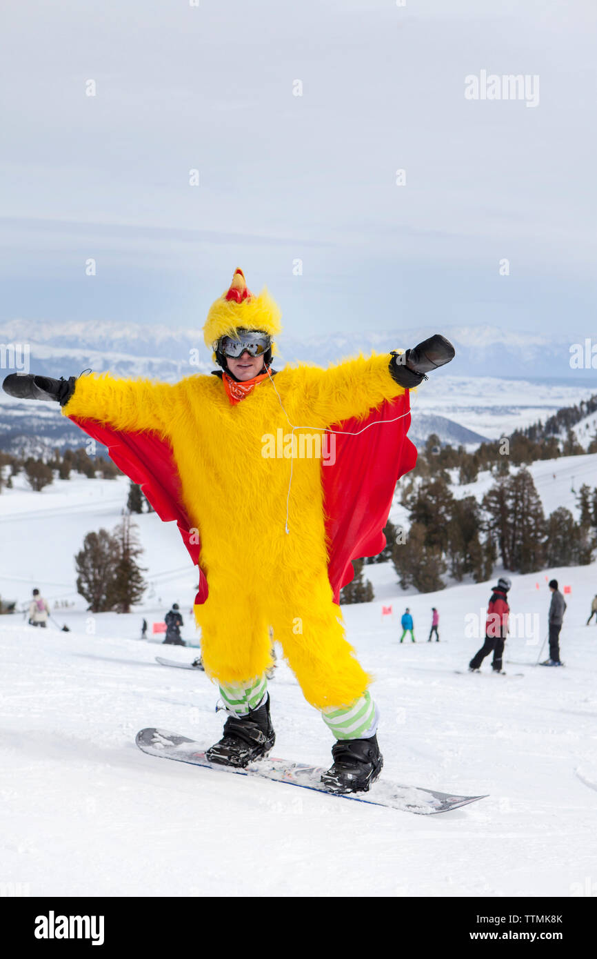 USA, California, Mammoth, a snowboarder dressed in a chicken suit spreads his wings as he heads down the hill at Mammoth Ski Resort Stock Photo