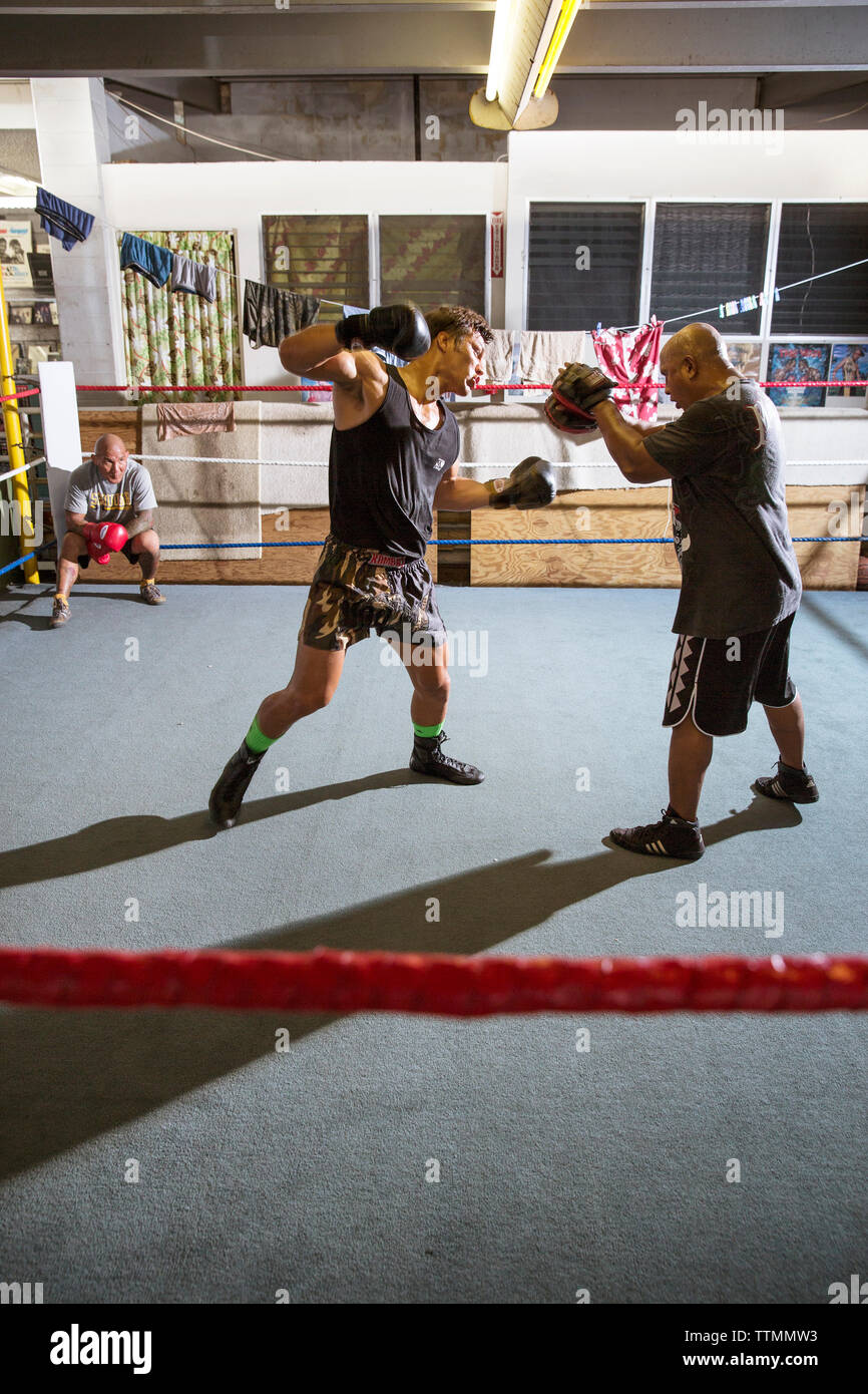 Mma stance hires stock photography and images Alamy