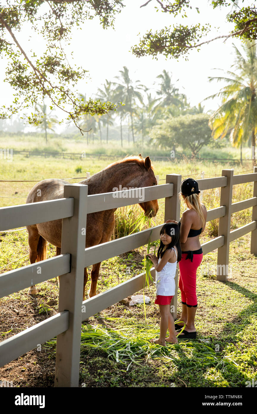 HAWAII, Oahu, North Shore, woman and her daughter petting a horse at Dillingham Ranch in Waialua Stock Photo