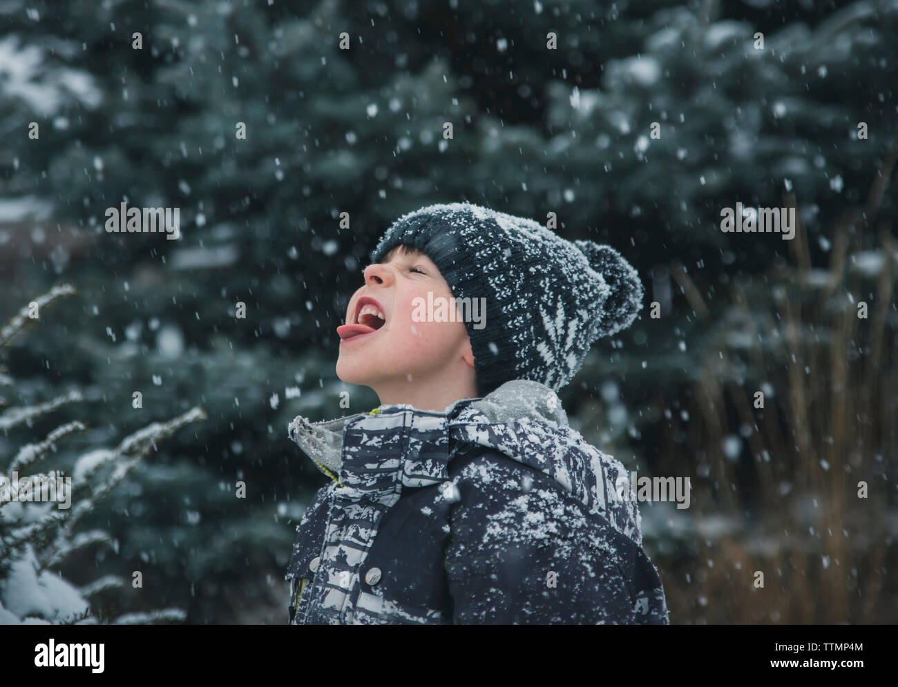 Playful boy sticking out tongue during snowfall Stock Photo