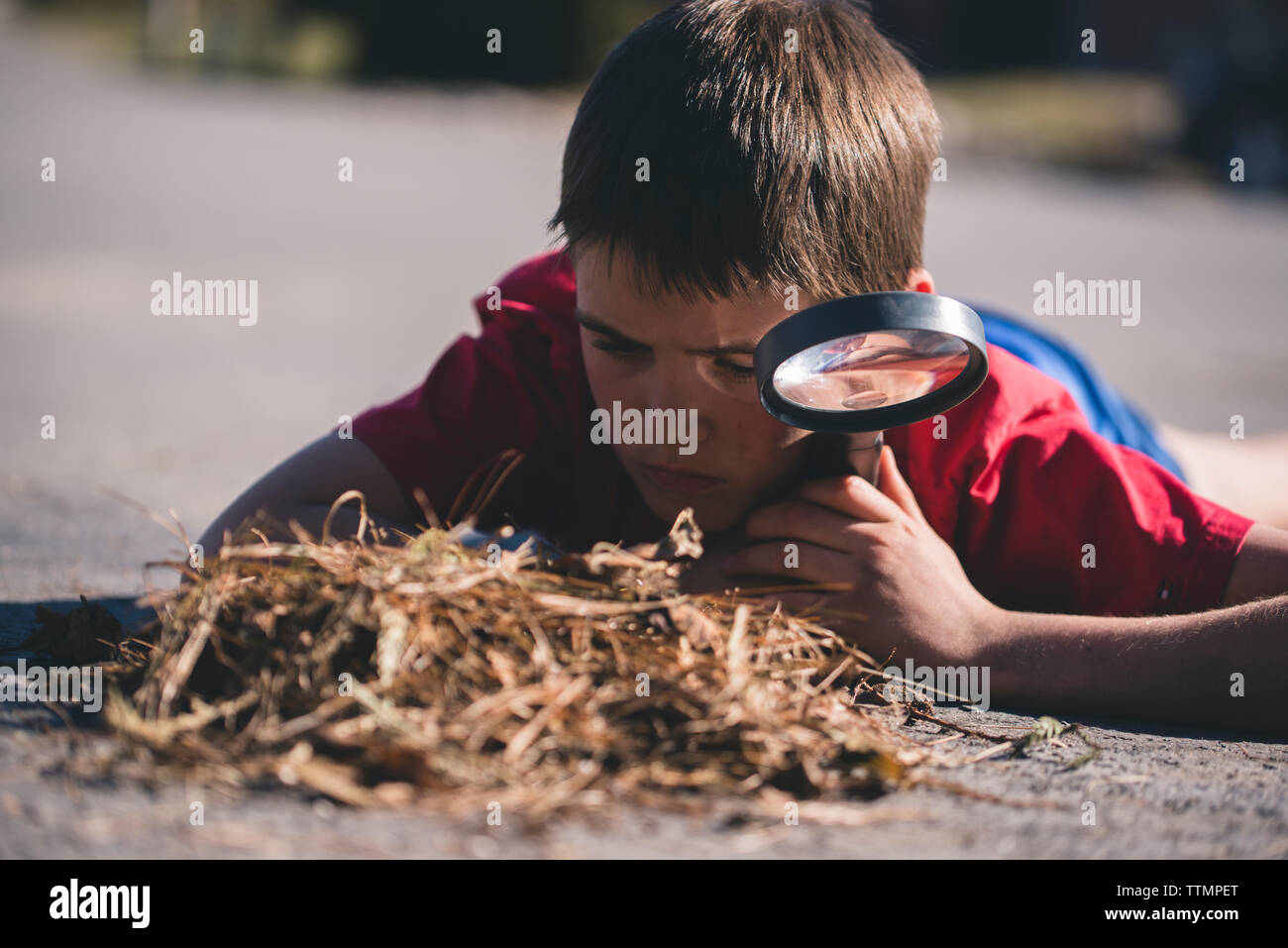 Boy with magnifying glass looking at grass while lying on road Stock Photo