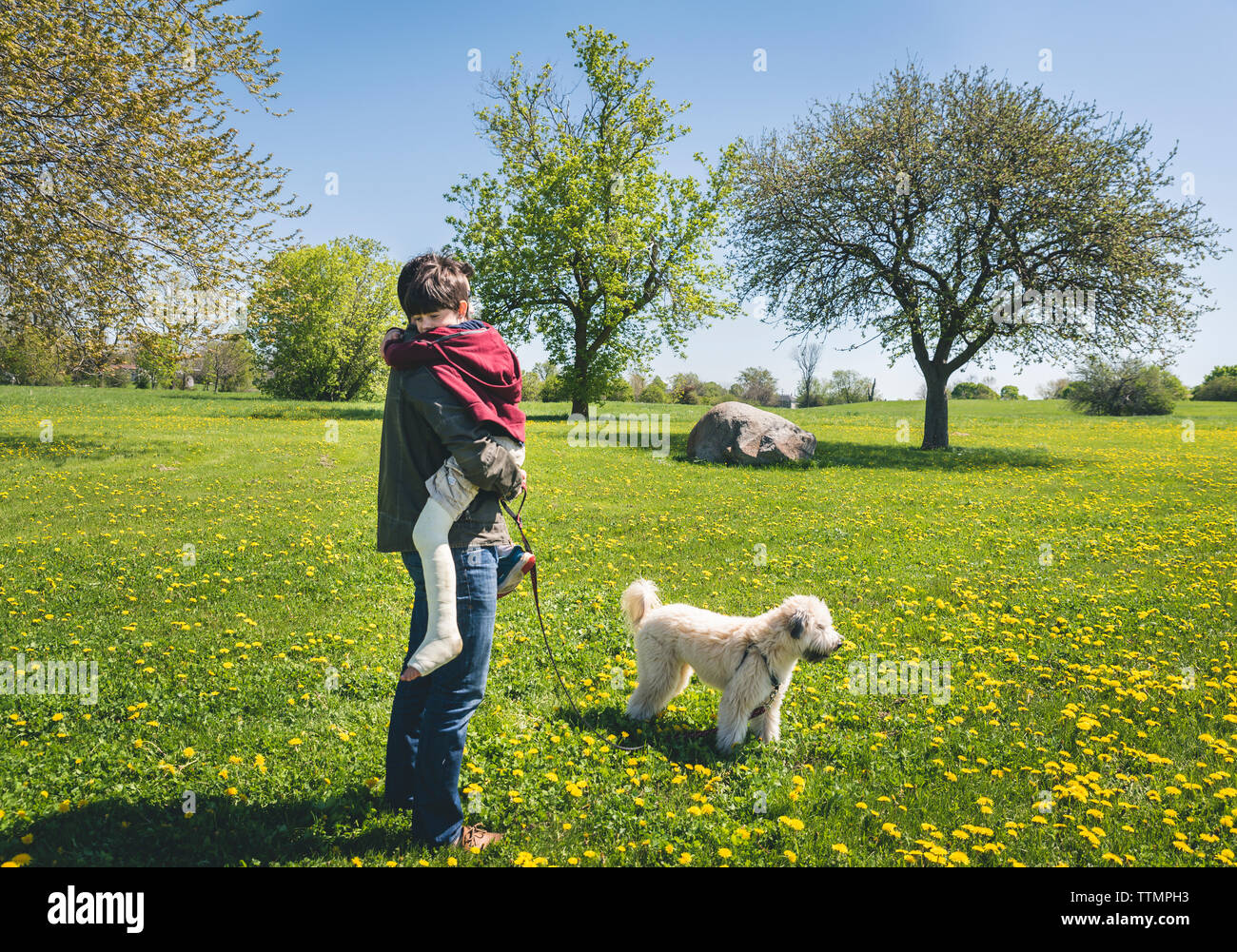 How To Put A Cast On A Dog Leg