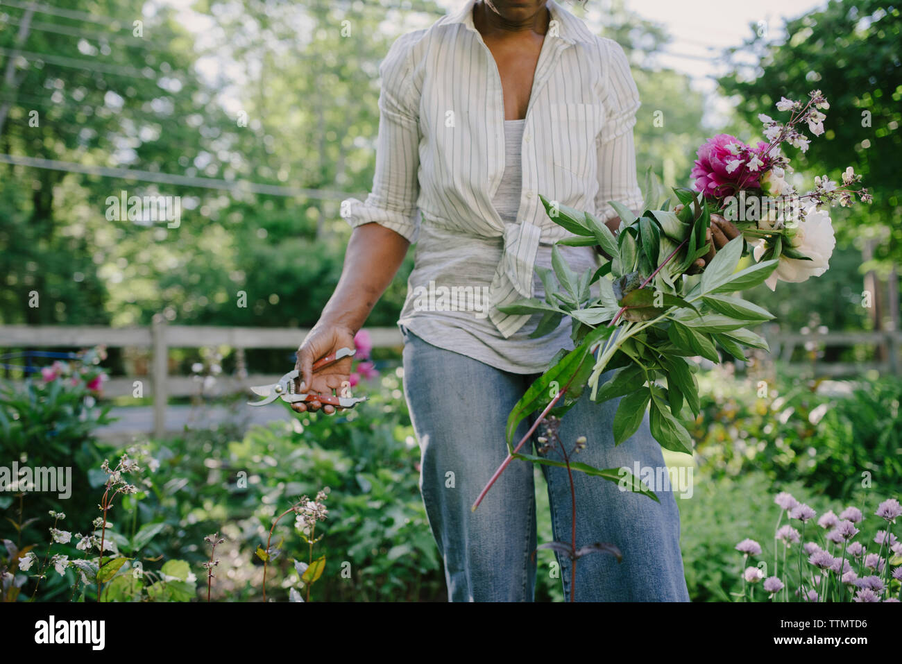 Midsection of woman harvested flowers and pruning shears while standing in garden Stock Photo