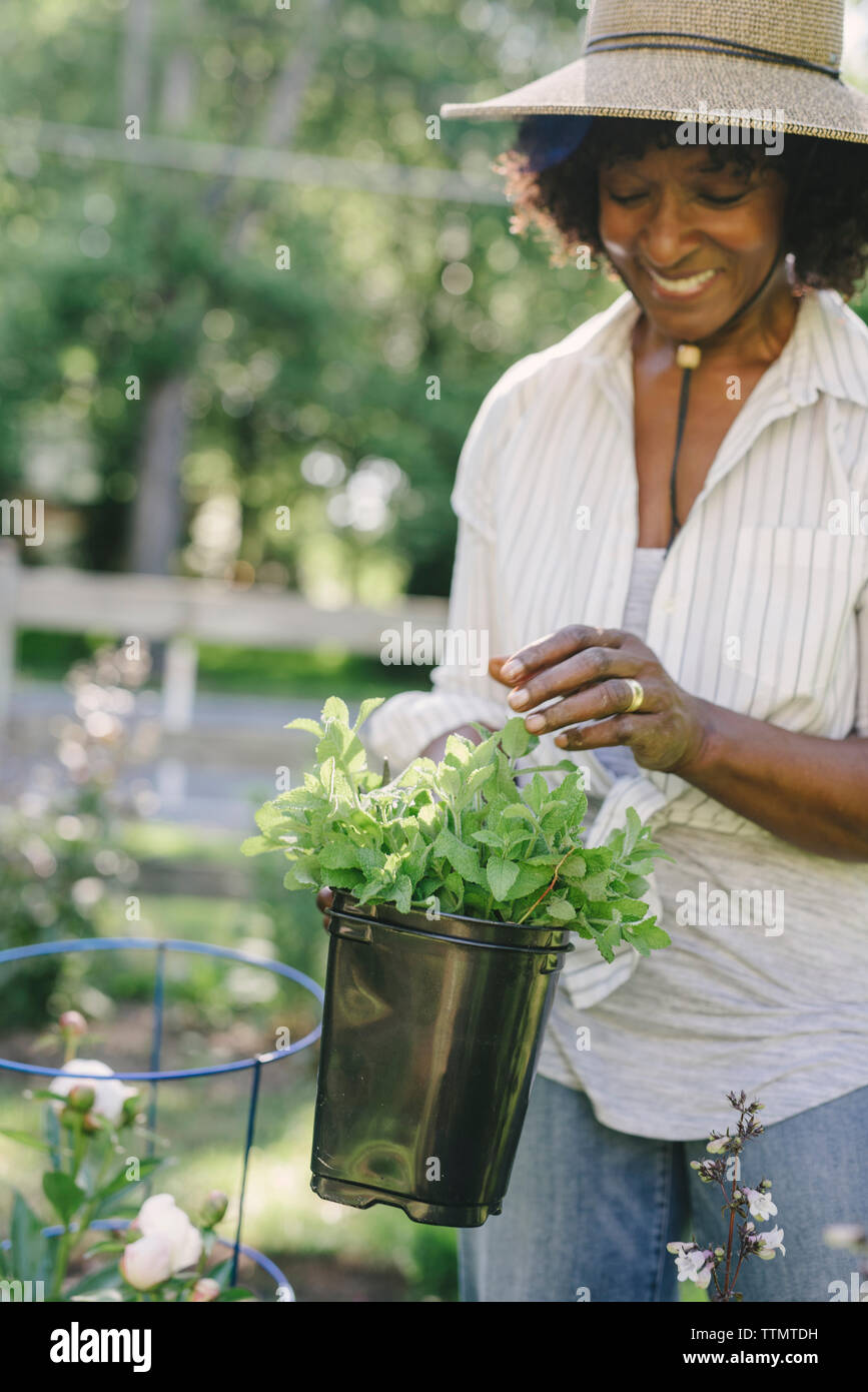 Happy mature woman holding potted plant at garden Stock Photo - Alamy