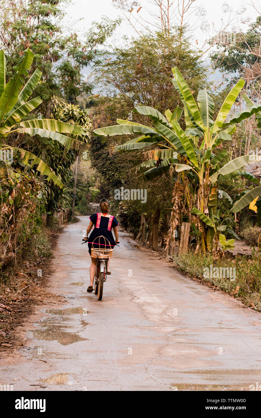 Person riding bicycle on road rear view hi-res stock photography and ...