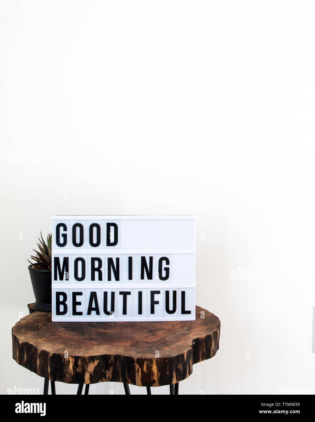 Text on placard with plant on wooden stool against white background Stock Photo