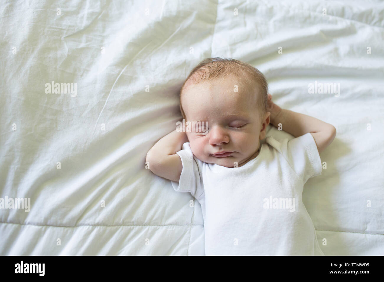 High angle close up sleeping hi-res stock photography and images - Alamy