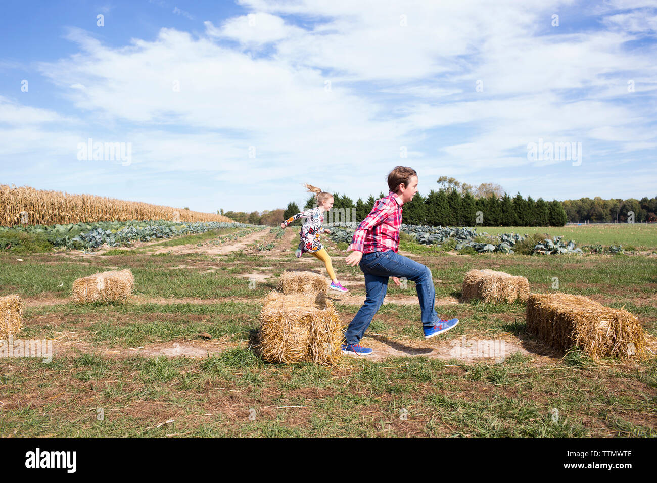 Brother and Sister Race Over Hay Bales at Farm in Fall Stock Photo Alamy