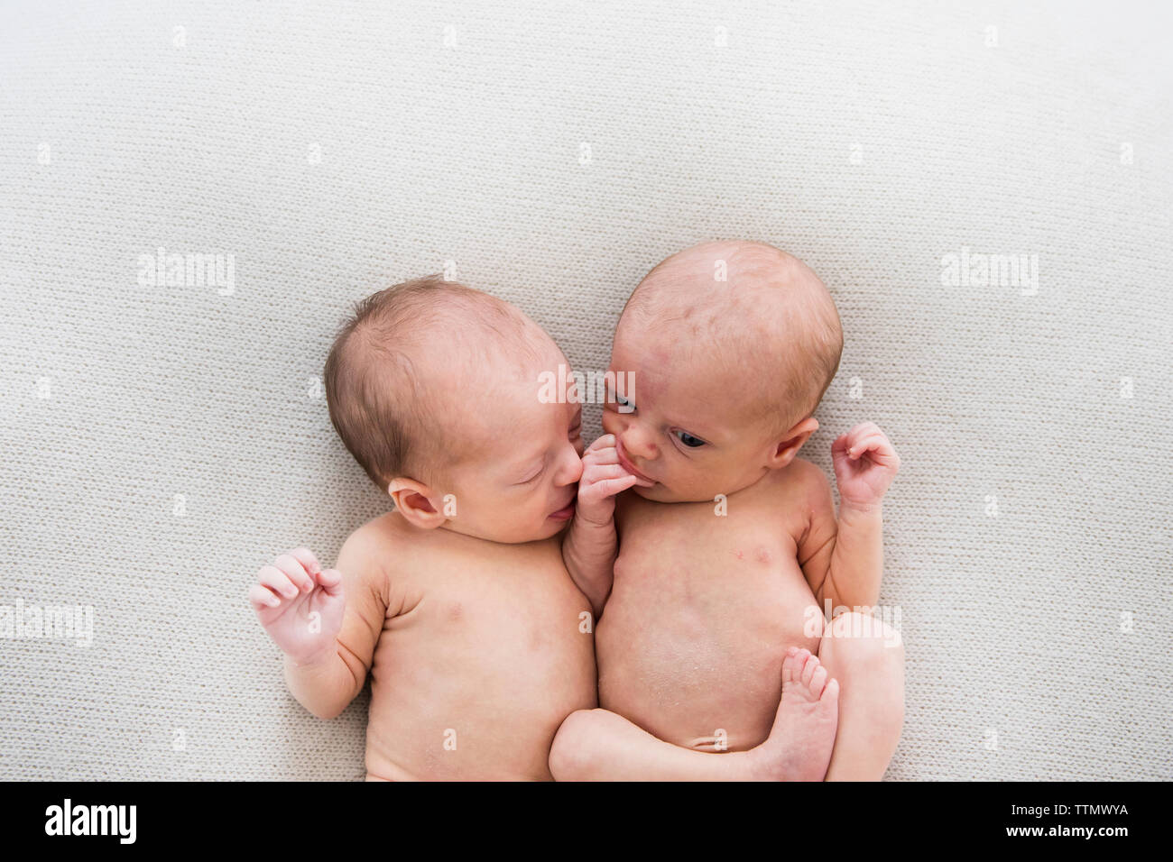 Fraternal Newborn Twins on a Off-White Blanket, Chewing Their Hands Stock Photo