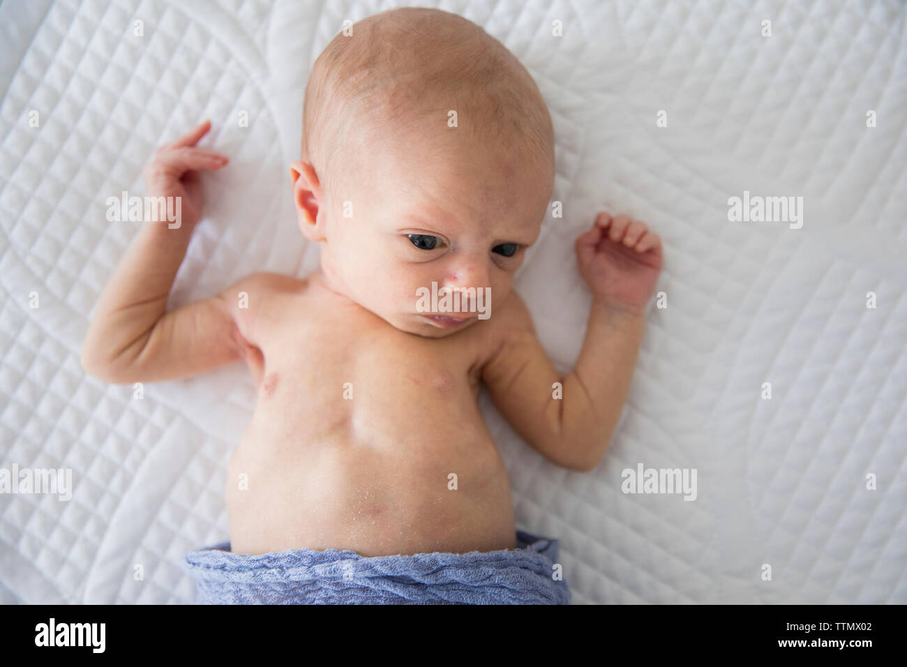 Overhead View of Awake, Alert Newborn Girl Wrapped in Purple Blanket Stock Photo