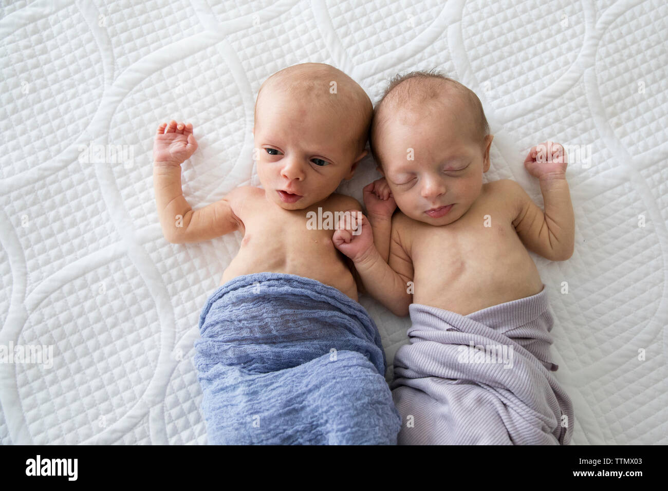 Overhead of Newborn Twin Girls Together on Bed, in Purple Blankets Stock Photo