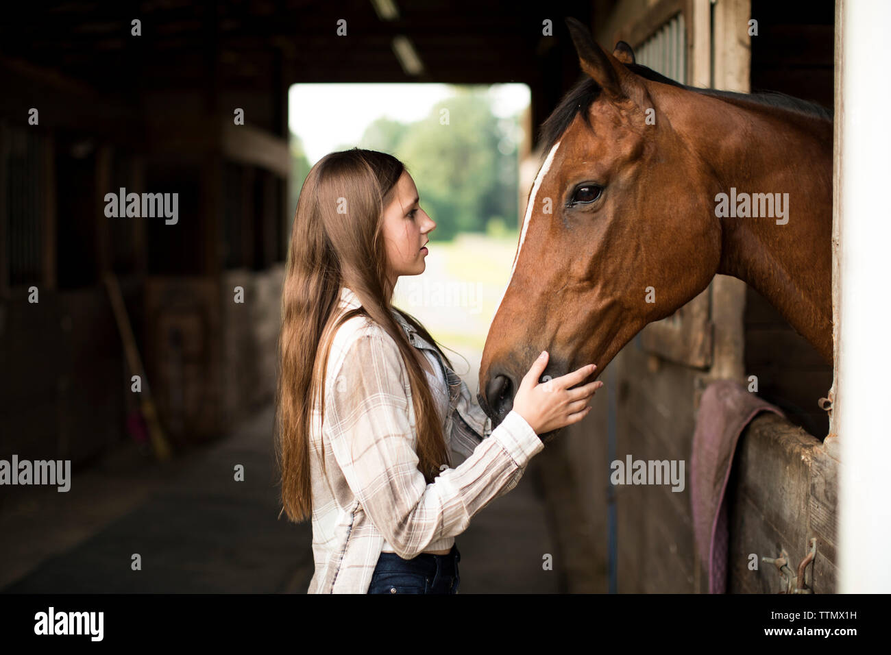 Teenage Girl Makes Eye Contact With Brown Horse in Stall in Barn Stock Photo Alamy