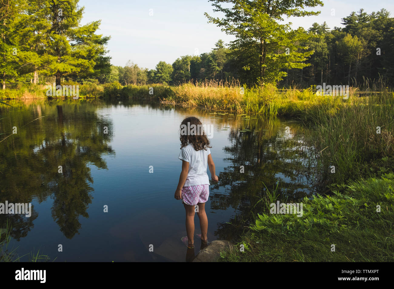 Rear view of girl standing at lakeshore in forest Stock Photo - Alamy