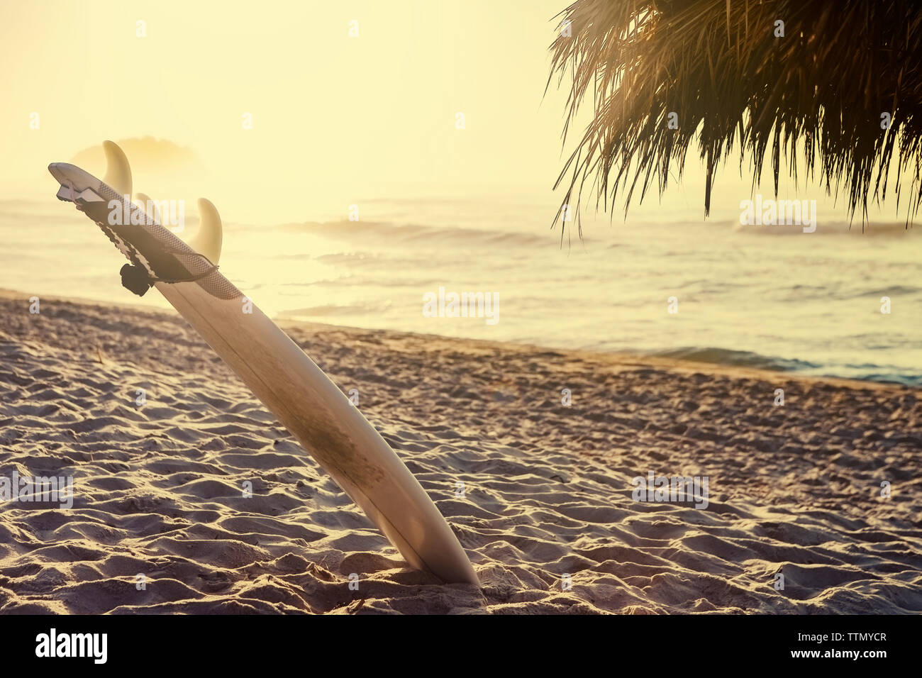 Surfboard protruding out of sand on beach at sunset Stock Photo - Alamy