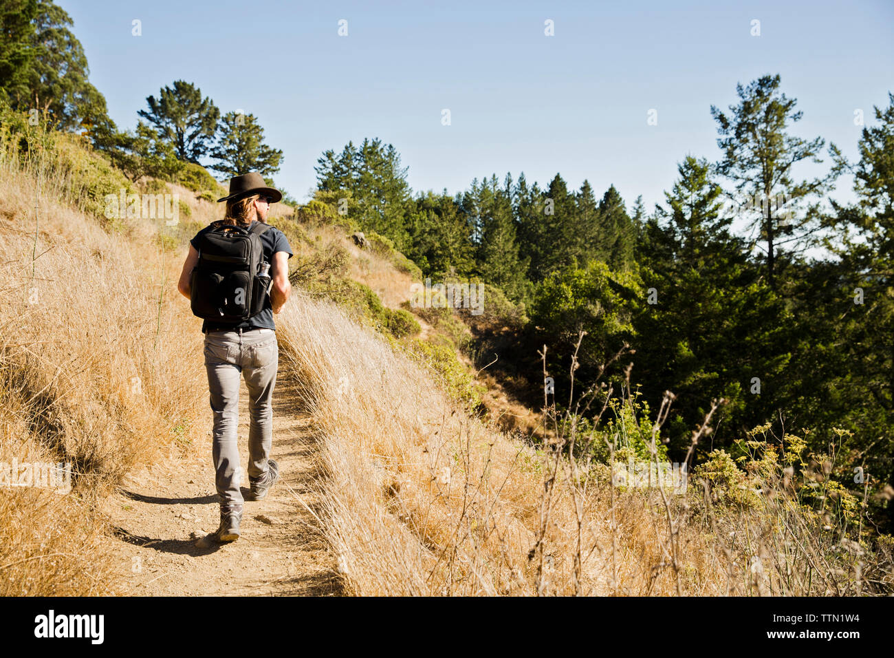 Man walking forest trail hi-res stock photography and images - Alamy