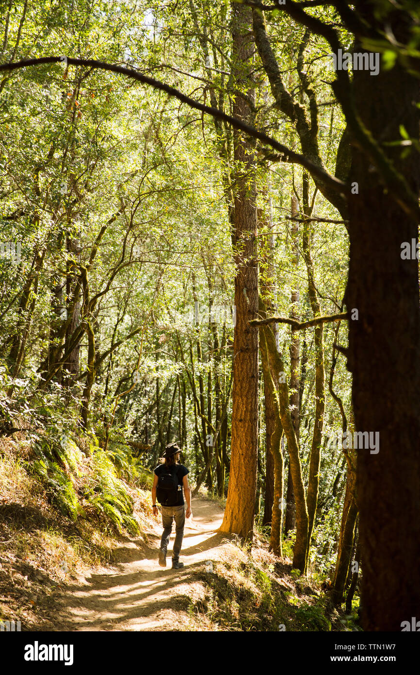 Man walking forest hi-res stock photography and images - Alamy