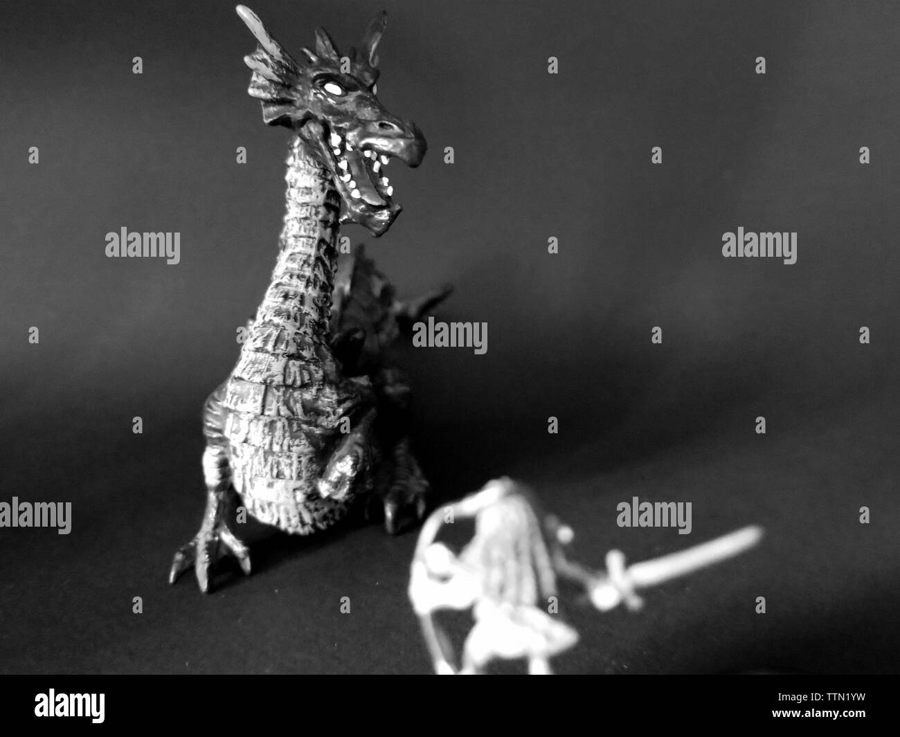 Human female Druid fighting Dragon, Dungeons & Dragons roleplaying game. Stock Photo