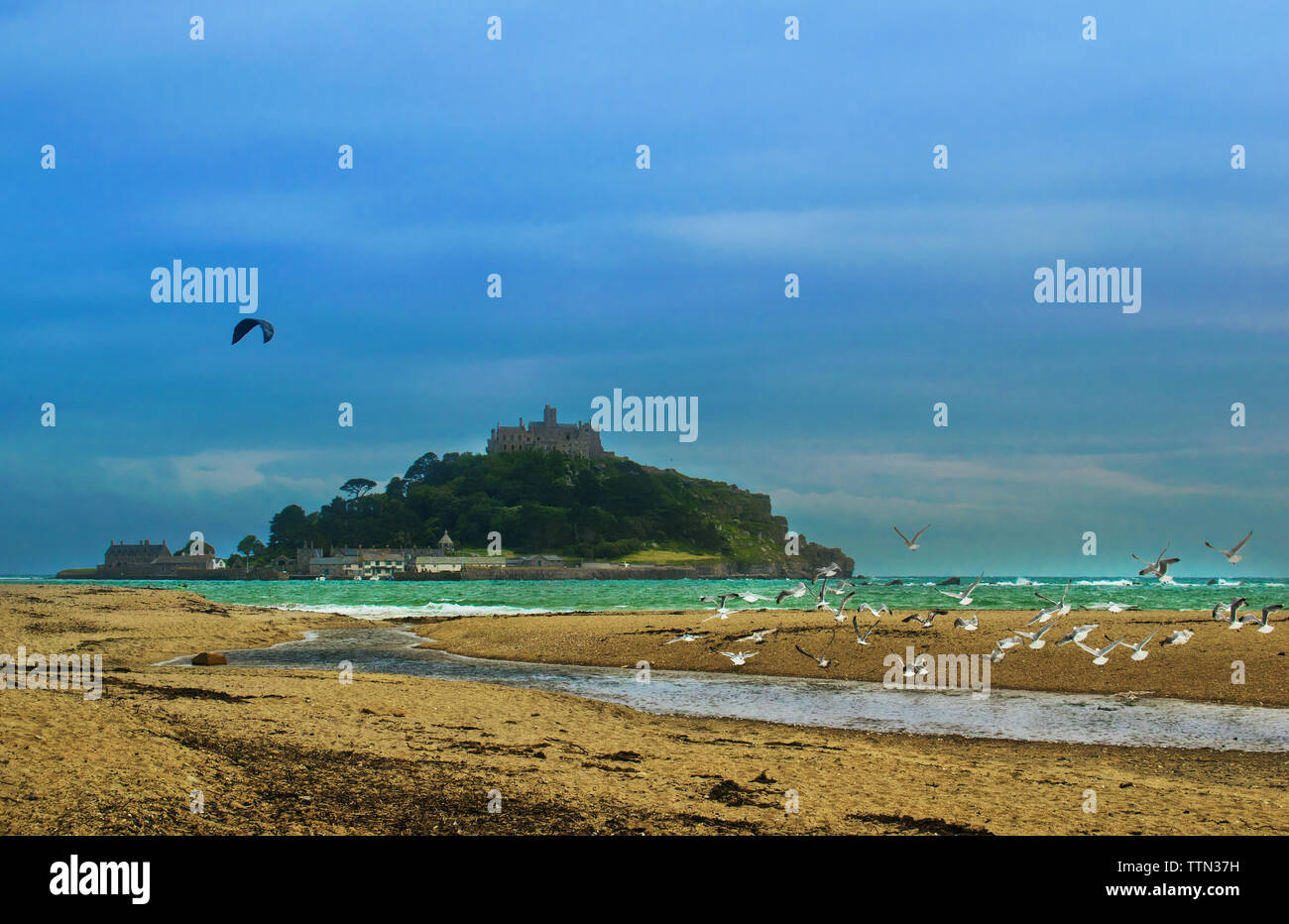 Seagulls taking flight at St Michael's Mount, Marazion, Cornwall,UK. Stock Photo