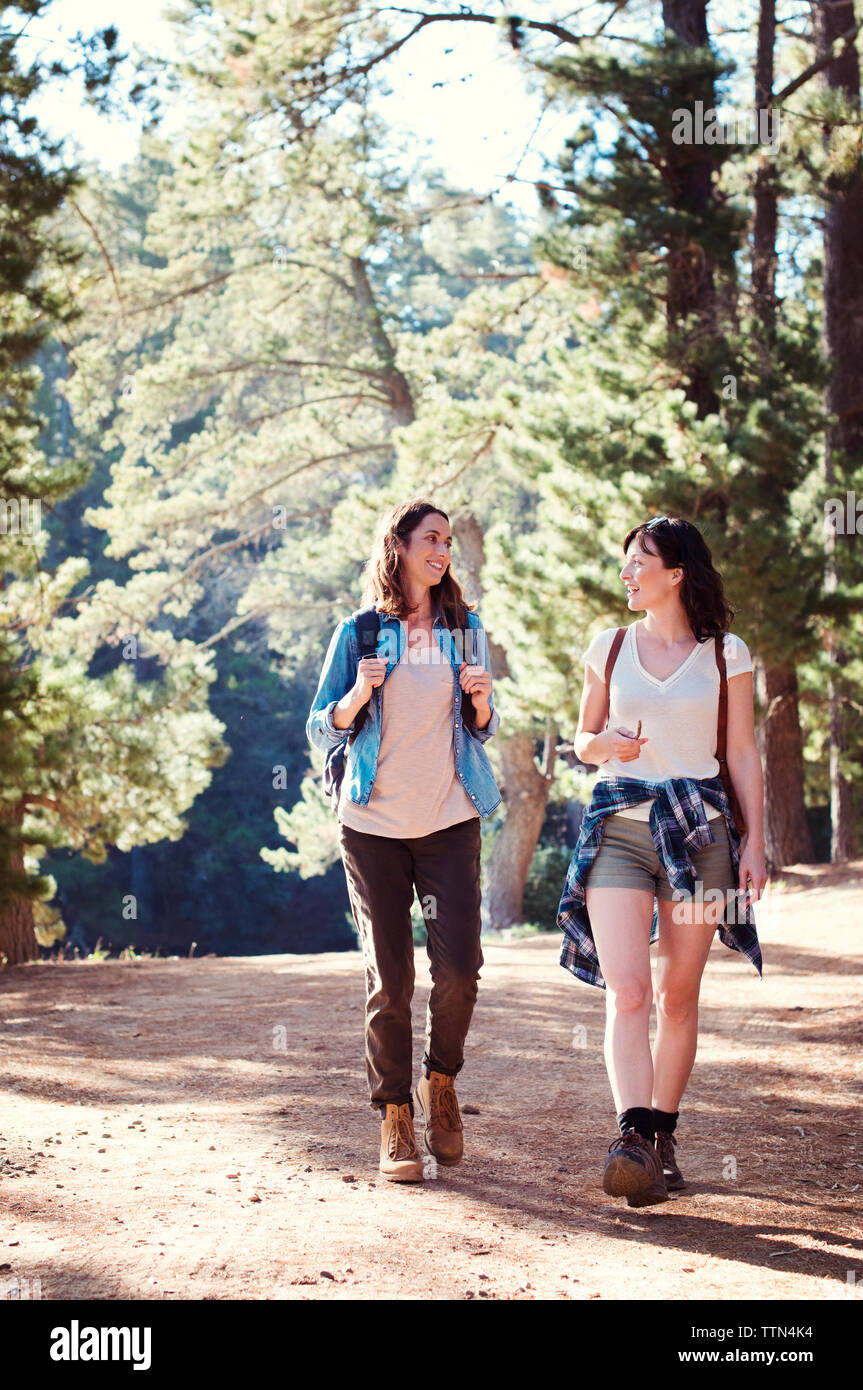 Female friends talking while walking in forest Stock Photo - Alamy