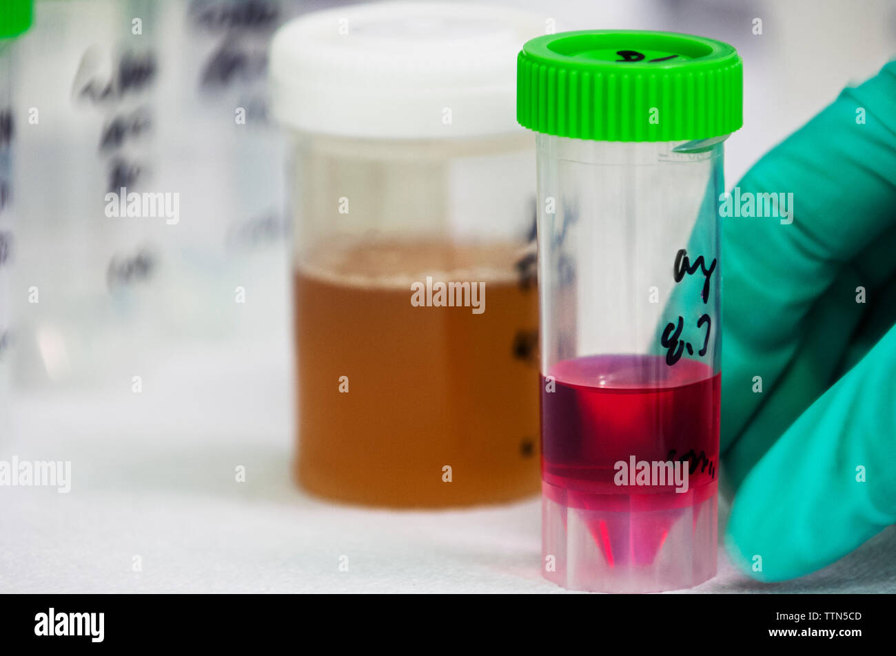 Close-up of samples in container Stock Photo