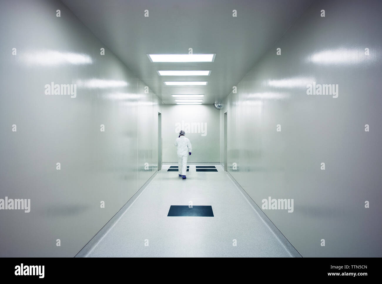 Rear view of scientist walking in corridor at hospital Stock Photo - Alamy